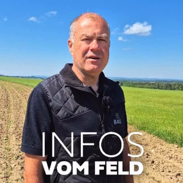 #mais, #pflanzenschutz, #herbizide, #landwirtschaft, #ackerbau, #agrar, #allgäu, #oberschwaben, #lebensmittelproduktion