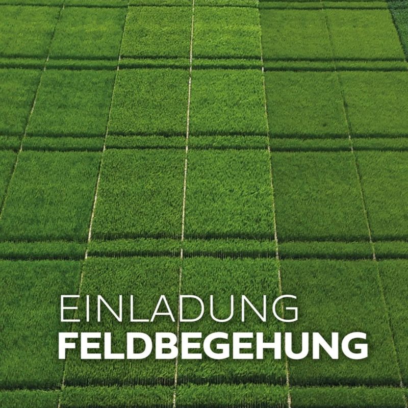 #regional, #ackerbau, #landwirtschaft, #agrarwirtschaft