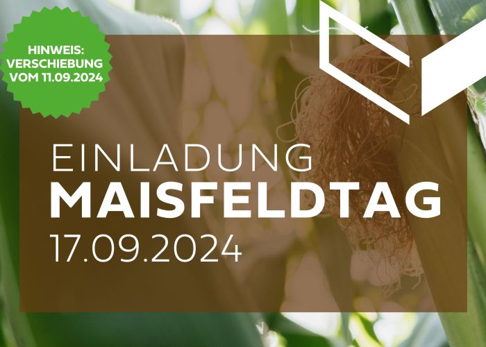 Maisfeldtag 2024