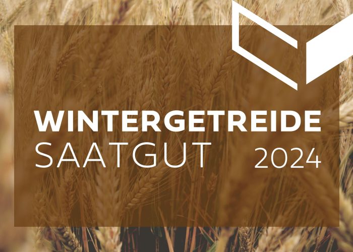 Wintersaat Getreide 2024