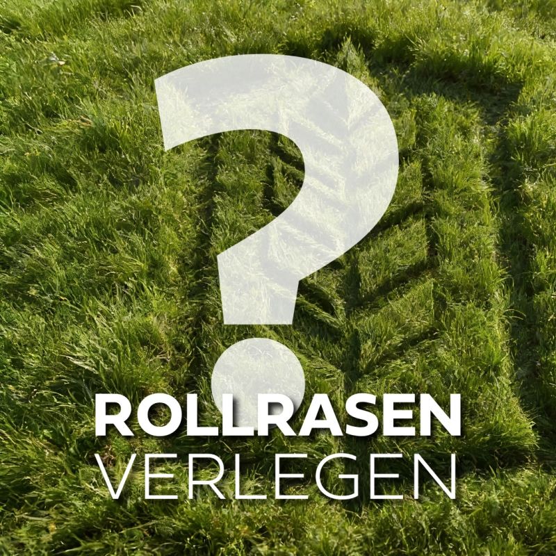 #galabau, #baustelle, #garten, #rasen, #rollrasen