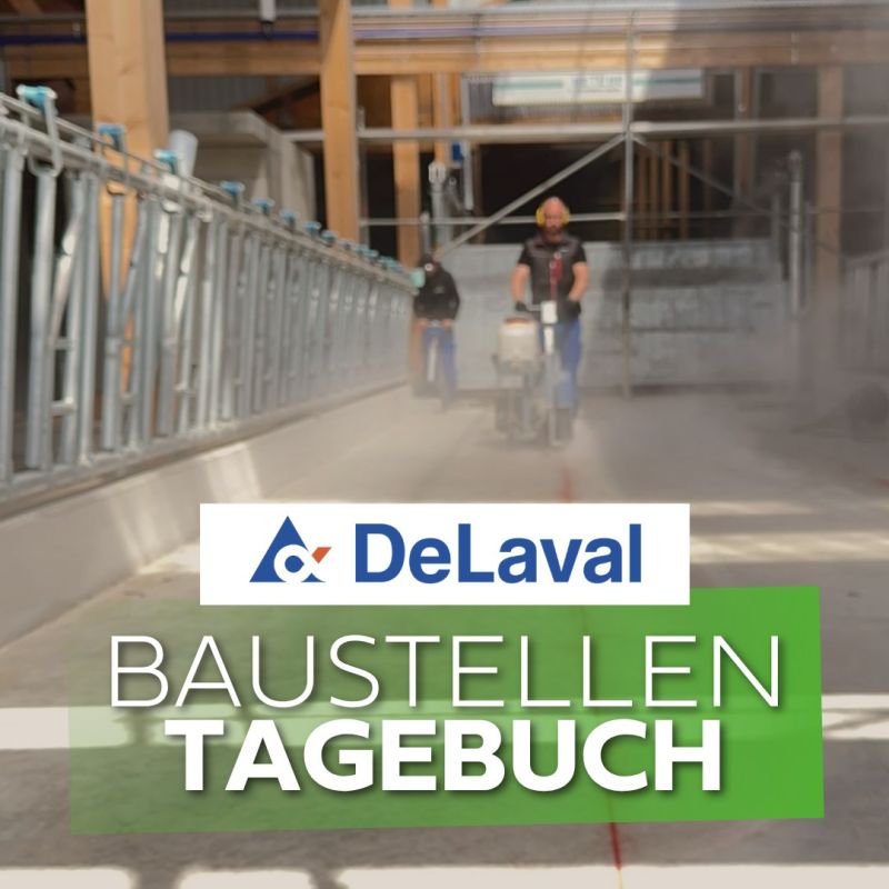 #milchvieh, #melktechnik, #landwirtschaft, #delaval, #melkroboter