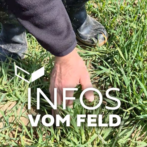 #agrar, #pflanzenschutz, #pflanzenschützer, #regional, #oberschwaben, #allgäu, #ackerbau, #landwirtschaft, #pflanzenschutzmittel, #getreide